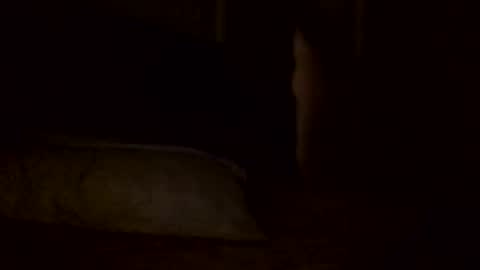 Snapshot of jamacianmehorny chatting on 02-02-25, 05:59 Jamacian online show from 02-02-25, 05:59