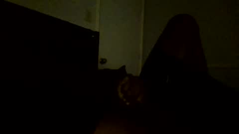 Snapshot of jamacianmehorny chatting on 02-25-25, 11:11 Jamacian online show from 02-25-25, 11:11