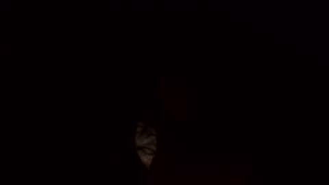 Snapshot of jamacianmehorny chatting on 03-03-25, 10:17 Jamacian online show from 03-03-25, 10:17