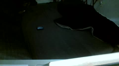 Snapshot of jamacianmehorny chatting on 12-14-25, 08:13 Jamacian online show from 12-14-25, 08:13