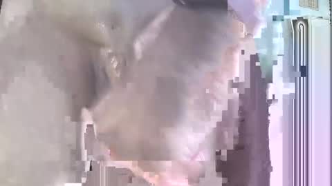 jack online show from 09-21-25, 04:52