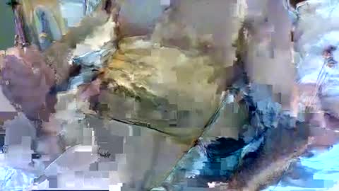 Snapshot of jameswhite5001 chatting on 02-08-25, 03:21 jameswhite5001 online show from 02-08-25, 03:21