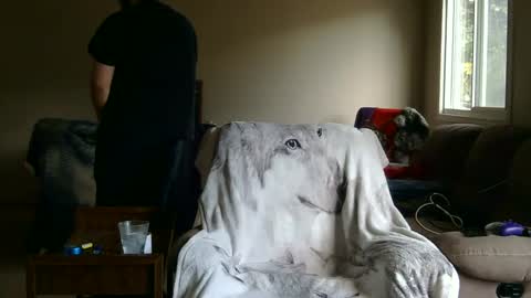 jameswolf777 online show from 09-27-25, 02:44