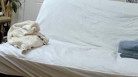 Bootyshows online show from 09-17-25, 12:29