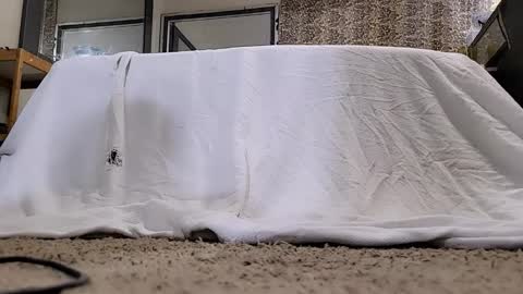 Bootyshows online show from 03-12-26, 11:27