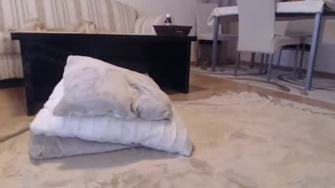 jaqueline88 online show from 01-30-25, 08:11