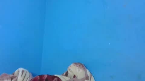 Snapshot of jarevavax chatting on 01-25-25, 02:58 JarevavaX online show from 01-25-25, 02:58