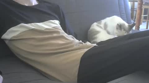 jasper 0 e23cm online show from 09-21-25, 07:43