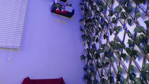 JKing  online show from 12-17-24, 07:04