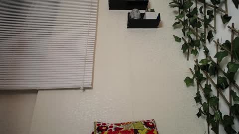 JKing  online show from 01-23-25, 04:09