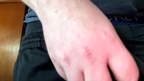 Jaws  online show from 12-30-24, 08:04