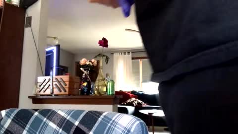 Jaws  online show from 03-04-26, 09:21