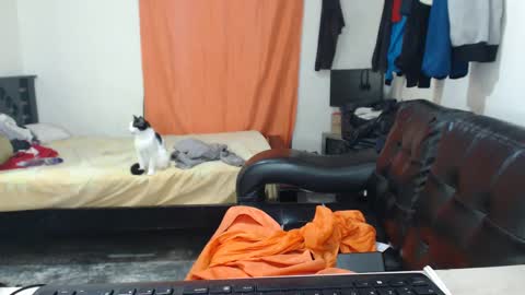 jaxivh16 online show from 10-11-25, 03:17