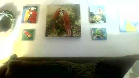 jay-jay1475 online show from 01-21-25, 03:48