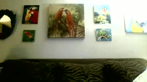 jay-jay1475 online show from 02-17-25, 01:58