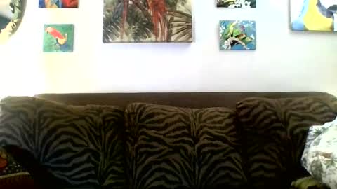 jay-jay1475 online show from 03-08-25, 06:05