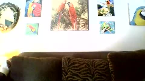 jay-jay1475 online show from 11-17-25, 06:46