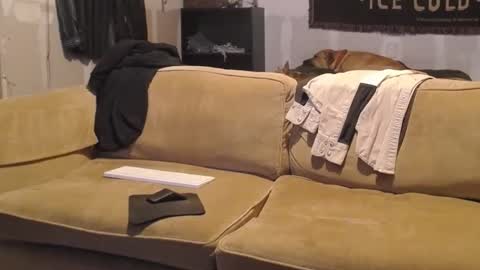 O F   jay short786 online show from 02-19-25, 02:44