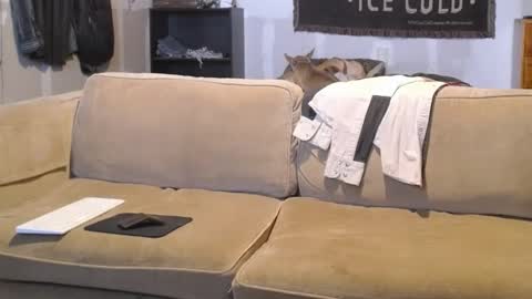 O F   jay short786 online show from 02-19-25, 03:16