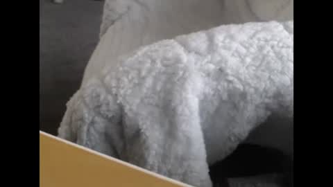 Snapshot of jayboo777 chatting on 12-12-24, 05:04 sissy gurl online show from 12-12-24, 05:04