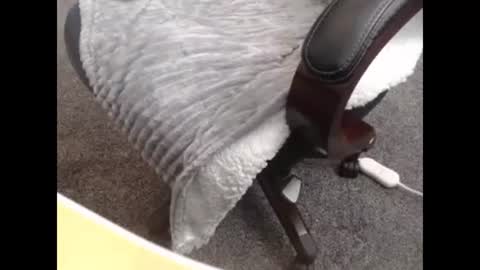 Snapshot of jayboo777 chatting on 10-27-25, 10:14 sissy gurl online show from 10-27-25, 10:14