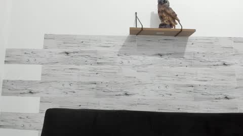 Jaycreedd online show from 02-11-25, 02:57