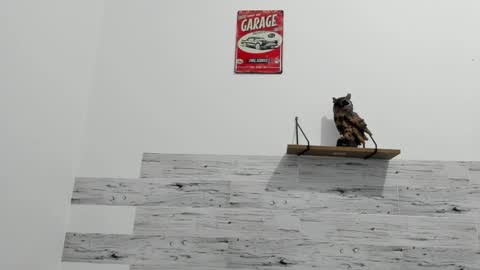 Jaycreedd online show from 02-23-25, 03:56