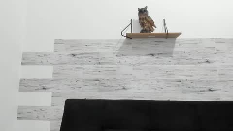 Jaycreedd online show from 09-10-25, 03:39