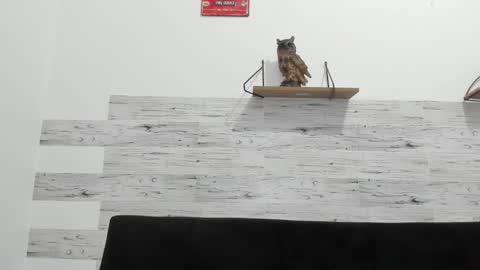 Jaycreedd online show from 11-03-25, 11:48