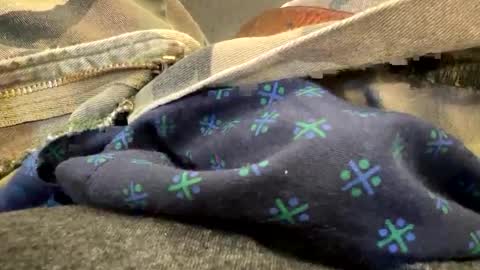 jbigblue online show from 09-28-25, 03:28