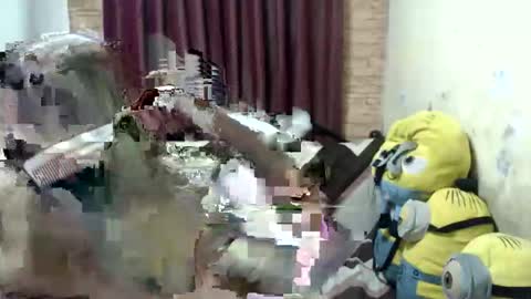 Snapshot of jdan81 chatting on 09-28-25, 05:07 GorgeousCASSIE online show from 09-28-25, 05:07