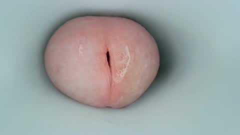 Snapshot of jeffrodgerschaturbat chatting on 01-17-25, 03:34 jeffrodgerschaturbat online show from 01-17-25, 03:34