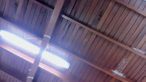 jeicob gagnon online show from 01-28-25, 04:30