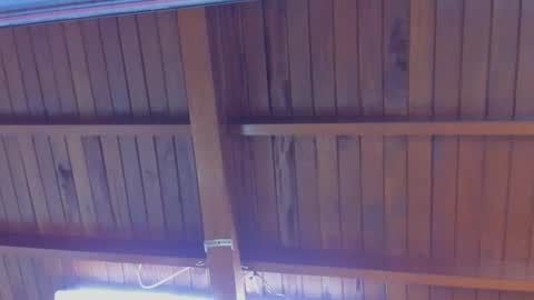 jeicob gagnon online show from 02-21-25, 04:16