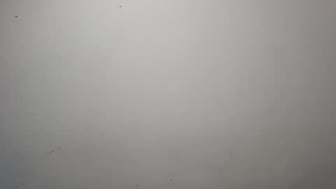 jeisonfit online show from 10-13-25, 01:49