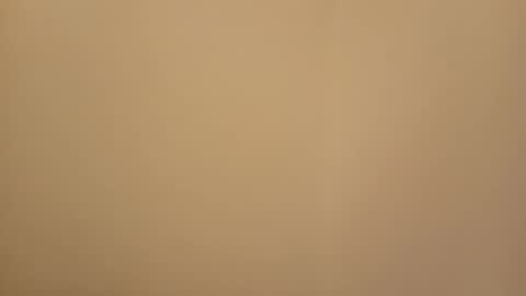 Snapshot of jemini0 chatting on 03-16-26, 04:40 jemini0 online show from 03-16-26, 04:40