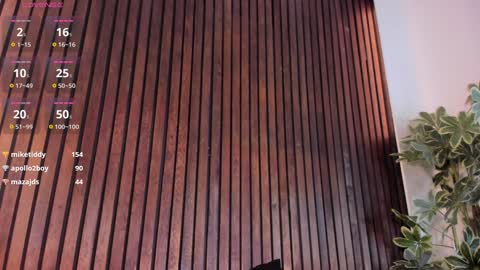     online show from 01-23-25, 03:22