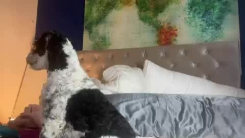 jenny1777 online show from 06-21-26, 01:08