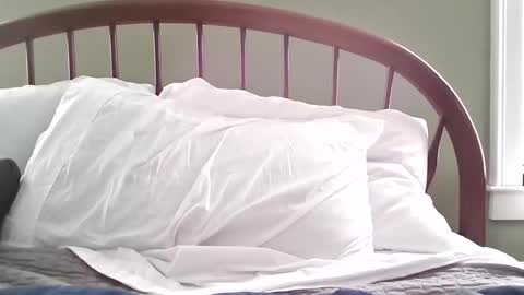 jerkingmanforyou online show from 03-15-26, 01:39