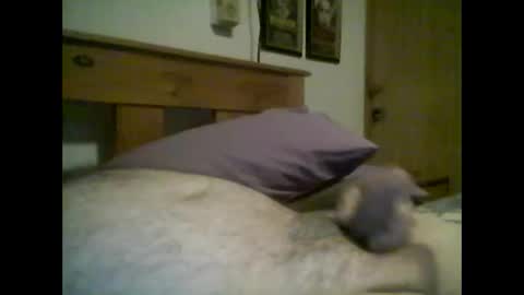 jerkmate6666 online show from 10-14-25, 02:34