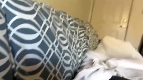 Jerkstar16 online show from 12-05-24, 06:00