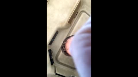 Snapshot of jesaj chatting on 11-26-25, 12:50 jesaj online show from 11-26-25, 12:50