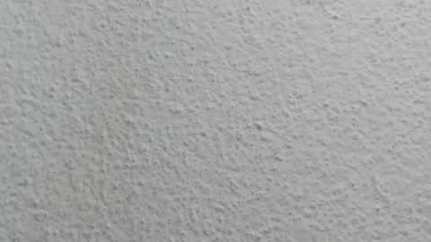 JESSY CORTES online show from 04-12-26, 05:12