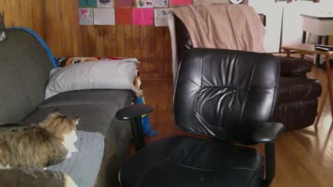 Snapshot of jettadude5 chatting on 01-25-25, 06:02 jettadude5 online show from 01-25-25, 06:02