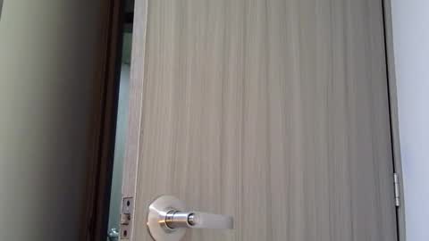   online show from 03-03-26, 11:05