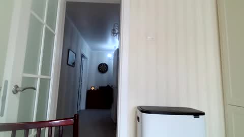 Jiana online show from 01-13-25, 09:41