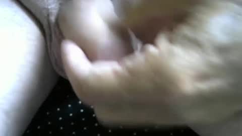 Snapshot of jimismiles chatting on 10-07-25, 06:16 jimismiles online show from 10-07-25, 06:16