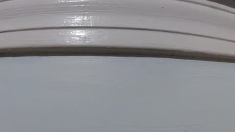 Snapshot of jimmyz500 chatting on 03-12-26, 09:43 jimmyz500 online show from 03-12-26, 09:43