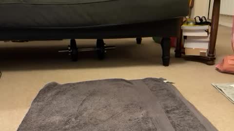 jinker2002 online show from 12-16-24, 05:22