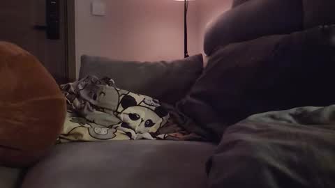 jj_jayjayq online show from 02-08-26, 12:19